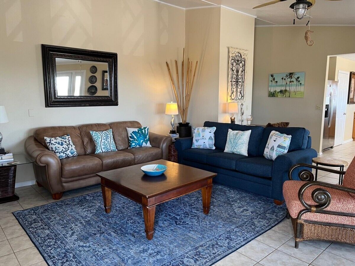 blue and brown couches